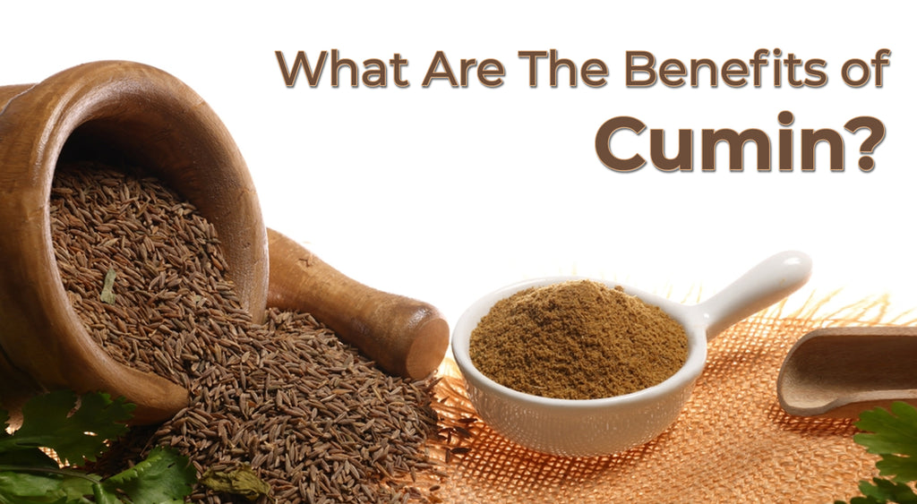 What Are The Benefits of Cumin?