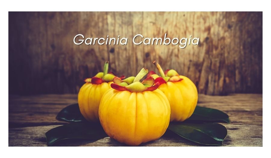 Garcinia Cambogia - Usage, Benefits & Effects
