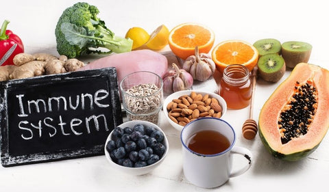 HerbsPro.com | A Closer Look at your Immune Health