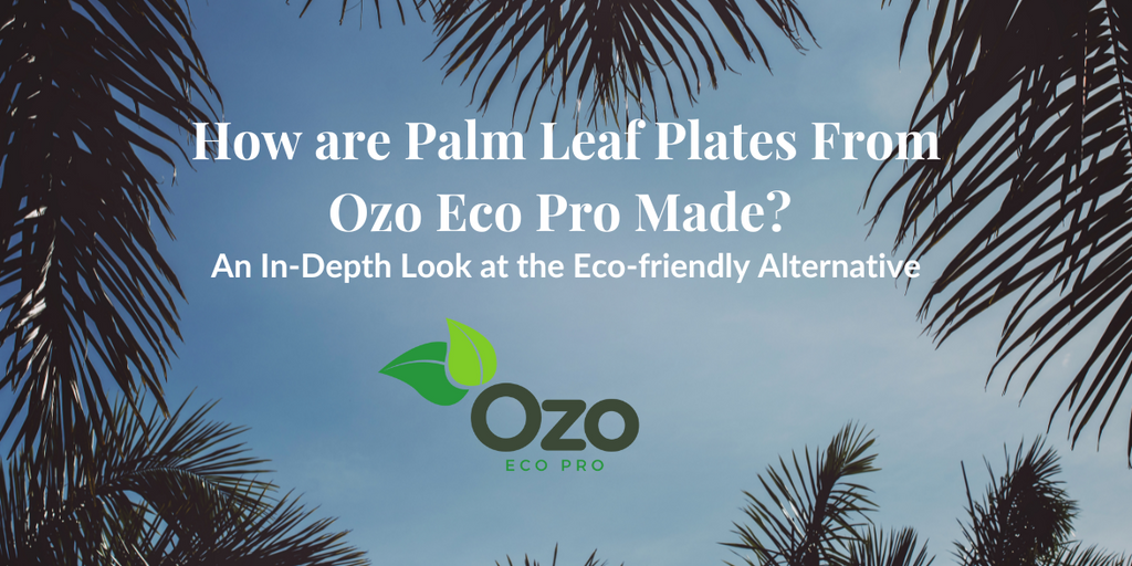 How are Palm Leaf Plates From Ozo Eco Pro Made? An In-Depth Look at the Eco-friendly Alternative