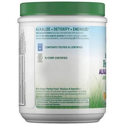 Garden of Life, Raw Organic Perfect Food Alkalizer & Detoxifier, 9.94 Oz