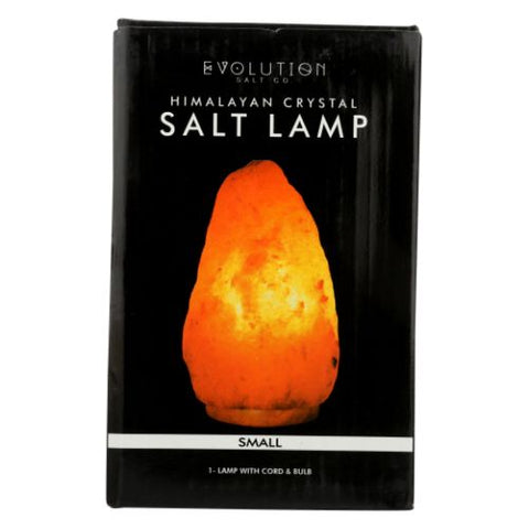 Evolution Salt, Natural Salt Lamp, 1 Count