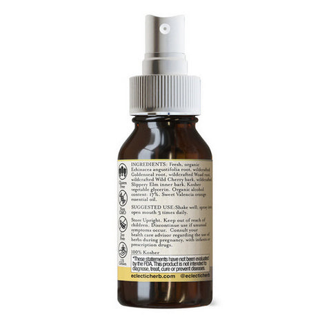 Eclectic Herb, Echinacea Goldenseal Throat Spray Kid, 1 Oz