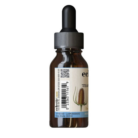 Eclectic Herb, Teasel Root, 1 Oz