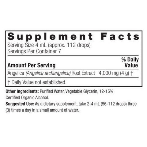 Nature's Answer, Brainstorm Liquid Extract Alcohol Free, 3000 Mg, 1 Oz Nature's Answer