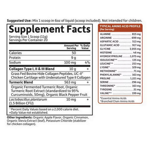 Garden of Life, Multi Source Collagen Turmeric Apple Cinnamon Powder, 7.76 Oz