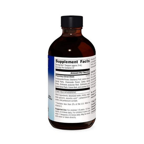 Planetary Herbals, Well Child Echinacea-Elderberry Syrup, 8 Fl Oz