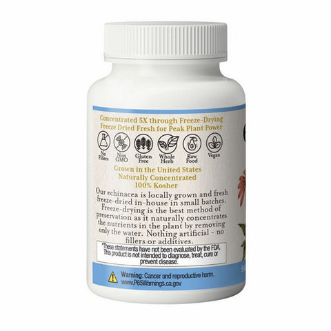 Eclectic Herb, Echinacea Purpurea Root, 90 Caps
