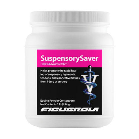 Suspensorysaver (100% Glycostretch) For Horses 1 Lb by Figuerola