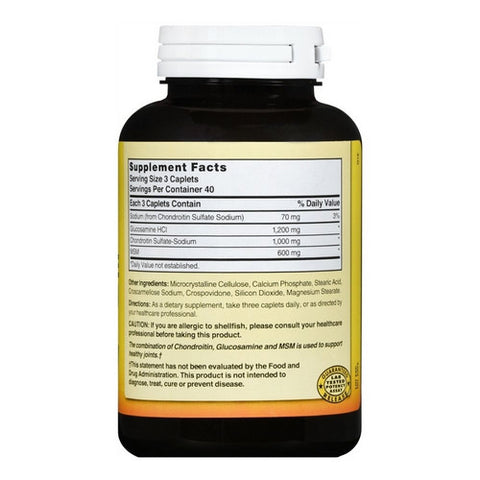 Nature's Blend, Glucosamine / Chondroitin / Msm, 120 Caplets