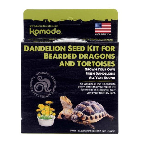 Grow Your Own Dandelion Seed Kit For Bearded Dragon And Tortoise 1 Each/6.5 in by Komodo