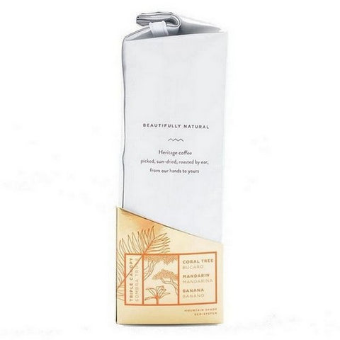 Twin Engine Coffee, Organic Honey Bear Edition Whole Bean Coffee, 10.5 Oz