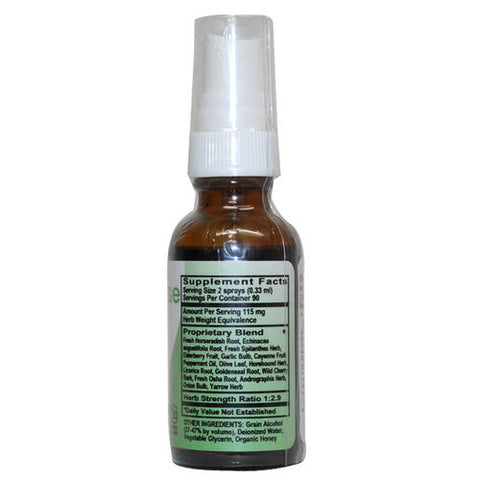 Naturverse, Sinus Blaster Spray, 1 Oz Naturverse