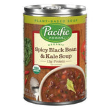 Organic Spicy Black Bean And Kale Soup 16.3 Oz  by Pacific Foods