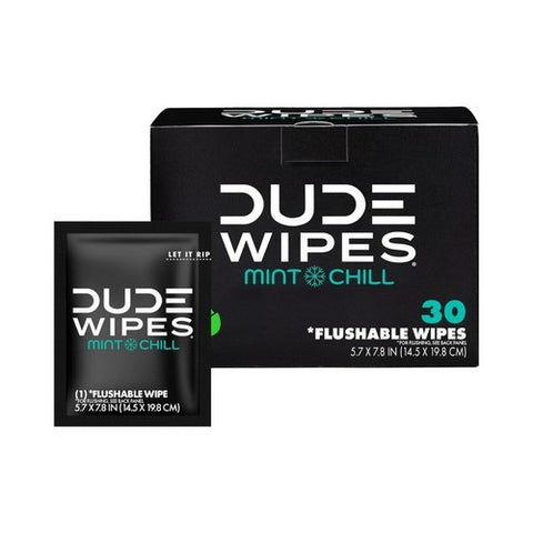 Dude Wipes, Mint Chill On The Go Flushable Personal Wipes, 30 Count