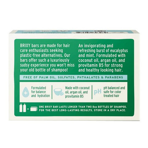 Brixy, Shampoo Bar Mint Eucalyptus, 4 Oz