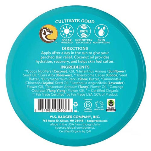 Badger Balm, Coconut After Sun Balm, 2 Oz Badger Balm