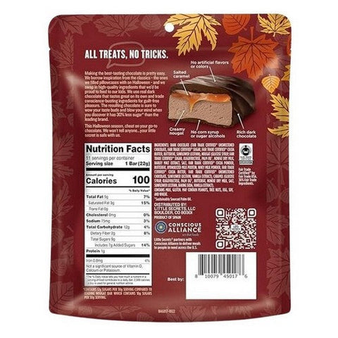 Little Secrets Llc, Creamy Nougat Bars Salted Caramel In Dark Chocolate, 8.5 Oz (Case Of 6) Little Secrets Llc