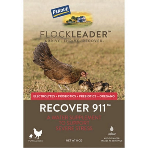 Perdue Flockleader Recover 911 Poultry Supplement 8 Oz, Powder by Flockleader