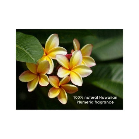 Kona Body Care, Waimea Bay Rum Bar Soap, 5 Oz Kona Body Care