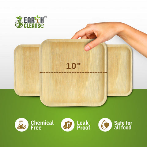Earth Cleanse, Areca Palm Leaf Square Plates 10-Inch, Pack of 200
