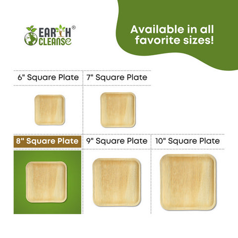 Earth Cleanse, Areca Palm Leaf Square Plates 8-Inch, Pack of 200