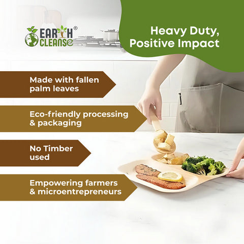 Earth Cleanse, Areca Palm Leaf Square Partition Plates 11-Inch, Pack of 75