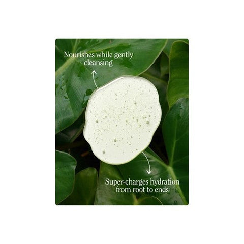 California Natural, Super Moisture Shampoo, 16.5 Oz California Natural