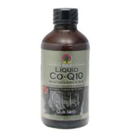 Nature's Answer, Platinum Co-Q10, LIQUID, 8 OZ