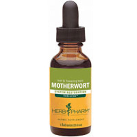 Motherwort 8 OZ by Herb Pharm