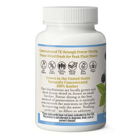 Eclectic Herb, Blackberry, 90 Caps