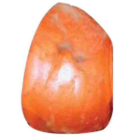 Aloha Bay, Salt Lamps Mini with Thin Black Base 7 Inch, ct