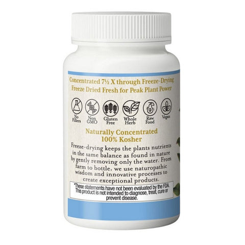 Eclectic Herb, American Bilberry, 400 mg, 60 vcaps