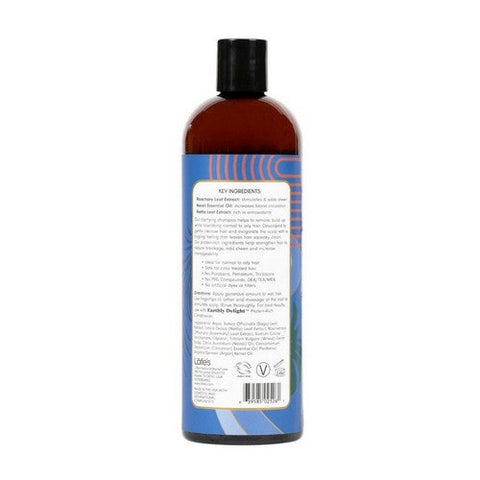 Earthly Delight, Shampoo Tropical Rain, 16 oz Earthly Delight