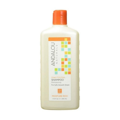 Andalou Naturals, Moisture Rich Shampoo, Argan Oil & Shea 11.5 Oz