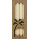 Palm 9 inch Tapers Unscented Candles Ivory 4 CT By Aloha Bay