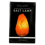 Evolution Salt, Natural Salt Lamp, 1 Count
