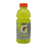 Gatorade Thirst Quencher Fruit Punch 20 oz/24 Bottles by Gatorade