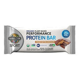 Garden of Life, Performance  Protein Bar, Peanut Butter Chocolate 12 Bars