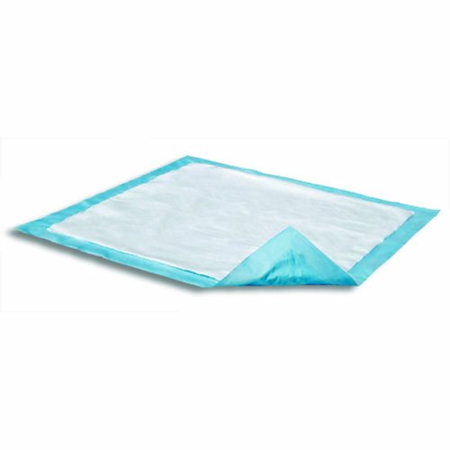Underpad Attends  Care Dri-Sorb  17 X 24 Inch Disposable Cellulose / Polymer Light Absorbency Count of 10 By Attends