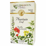 Celebration Herbals, Organic Plantain Leaf Tea, 24 Bags