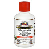 21st Century, 21st Century Glucosamine Chondroitin Liquid Triple Strength Raspberry Flavored, 16 Oz
