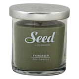 Evergreen Candle 7.5 Oz By Seed