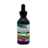 Elecampane Root 2 Oz by Nature's Answer