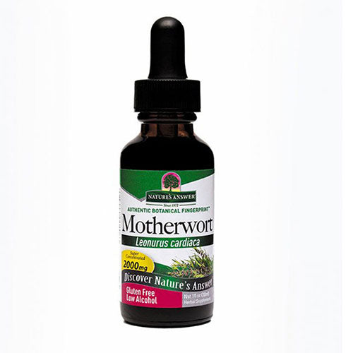 Motherwort Herb ORGANIC, 1 OZ By Nature's Answer