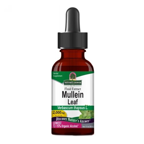 Mullein Leaf Extract 1 FL Oz By Nature's Answer