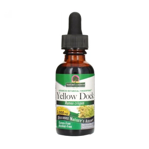Yellow Dock ALCOHOL FREE, 1 OZ By Nature's Answer