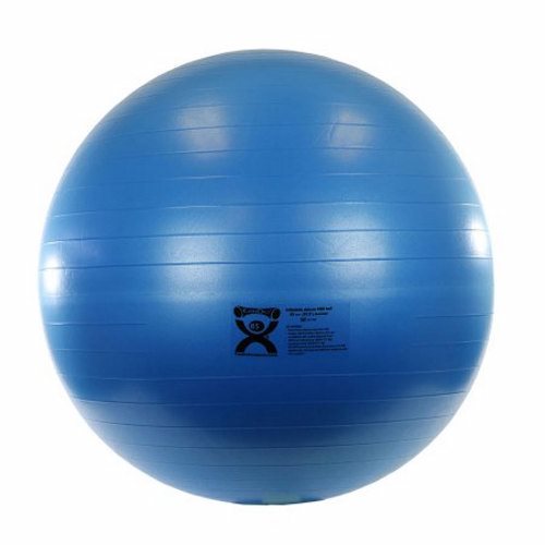 Inflatable Exercise Ball Blue 1 Each By Fabrication Enterprises