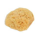 Natural Sea Sponge Bath-Shower Large 1 Count by Bass Brushes