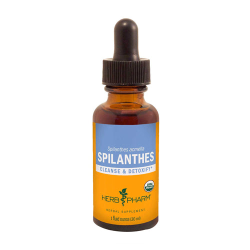 Spilanthes 1 oz By Herb Pharm